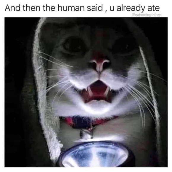 My memories on your sleeve ;) - Picture 10 of 16